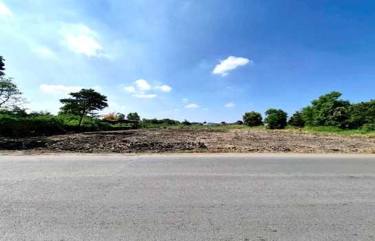 ���Թ ����������