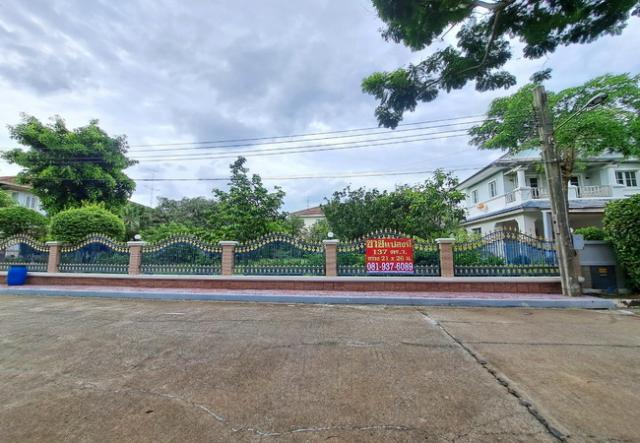 ���Թ ������������