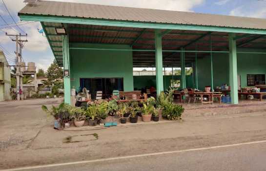 ����Ҥ�þҳԪ�� �٧�Թ����Ҫ����