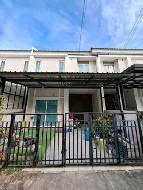 ��ǹ�����������������