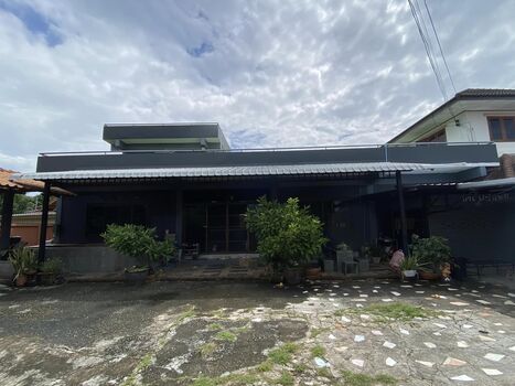 ⡴ѧ ����ç���¹�ҹҪҵ�