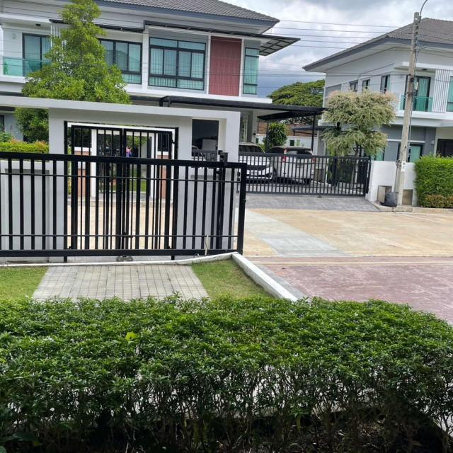 ��ҹ ����Ѳ��