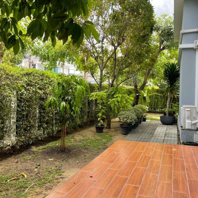 ��º�ҹ ����Ѳ�ҡ�ا෾