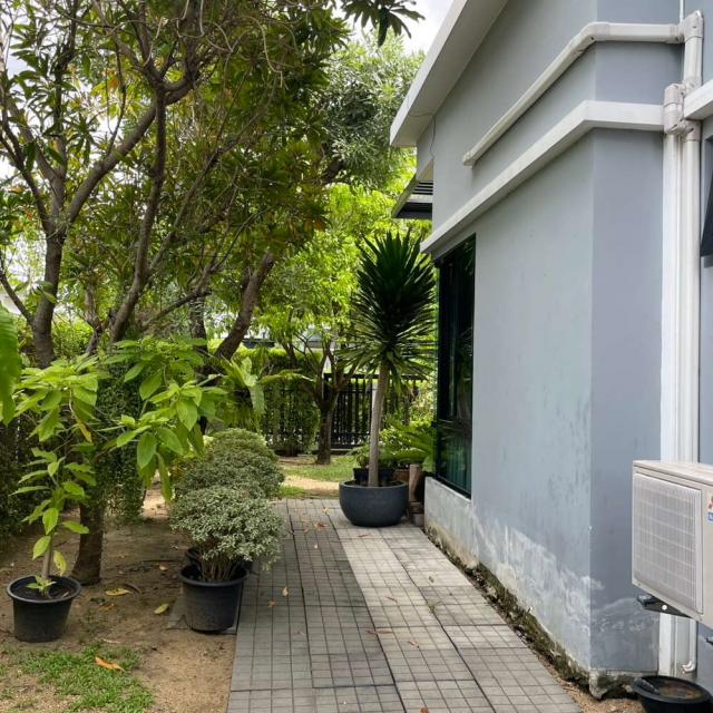 ��º�ҹ ����Ѳ�ҡ�ا෾