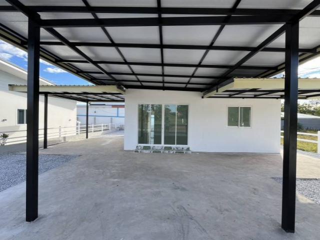 ��º�ҹ ���ͧʡŹ��ʡŹ��