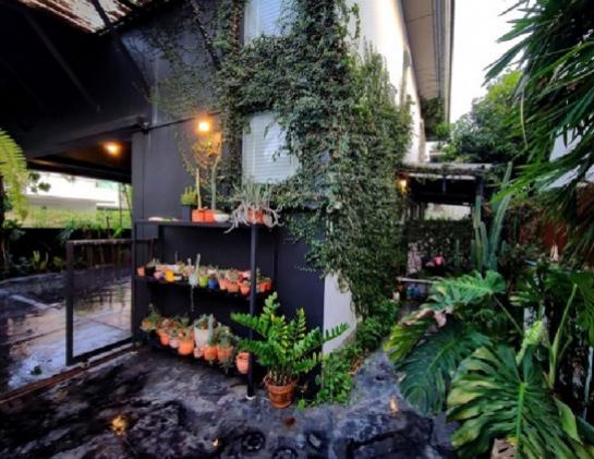 ��ҹ������ �ҧࢹ ��ا෾