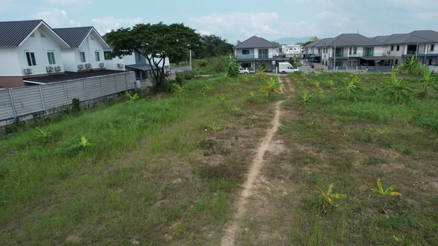 ��·��Թ �ѹ������§����