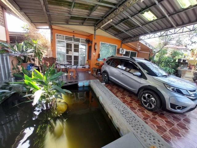 ��º�ҹ �ҧࢹ��ا෾