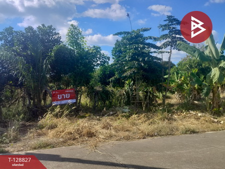 ��¸�áԨ ���ͧ���ͧ���ͧ