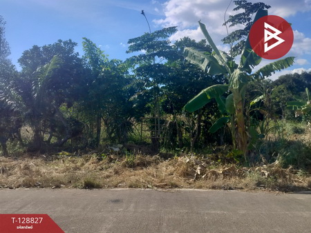 ��¸�áԨ ���ͧ���ͧ���ͧ