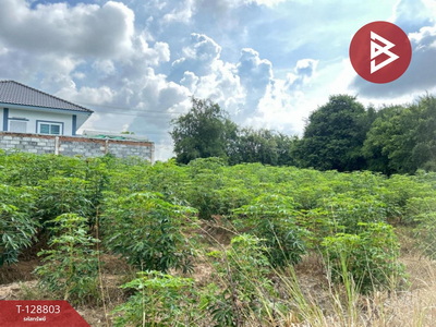 ��·��Թ ����ҪҪź���