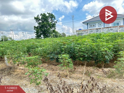 ��·��Թ ����ҪҪź���