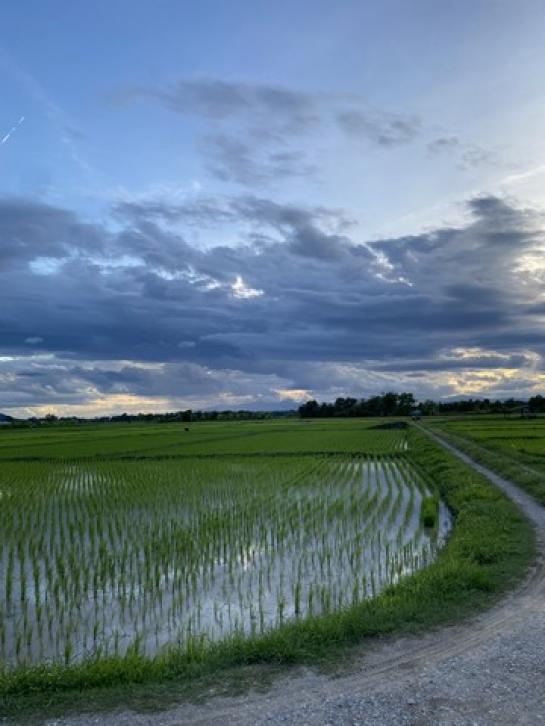 ��·��Թ ���§�����§���