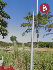 ��·��Թ �����ǧ��§���