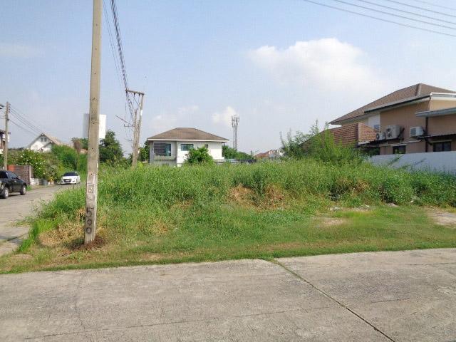 ���Թ�ѭ���� �����ҹ�