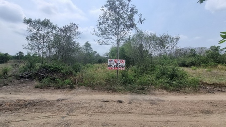 ���Թ ��û��