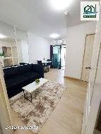 �͹�����ǹ