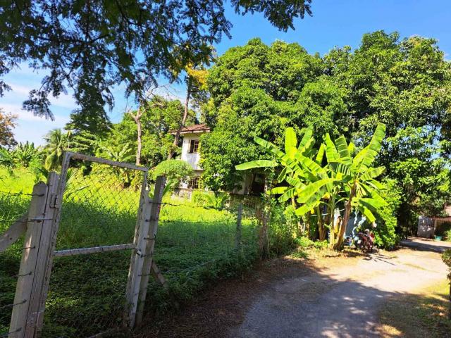 ���Թ �ҧ����