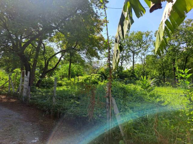 ��·��Թ �ҧ���͡�ا෾