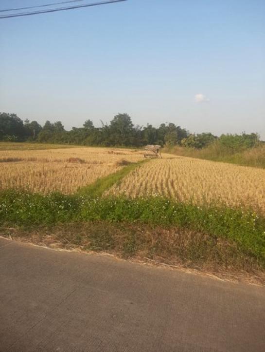 ���Թ ��§���