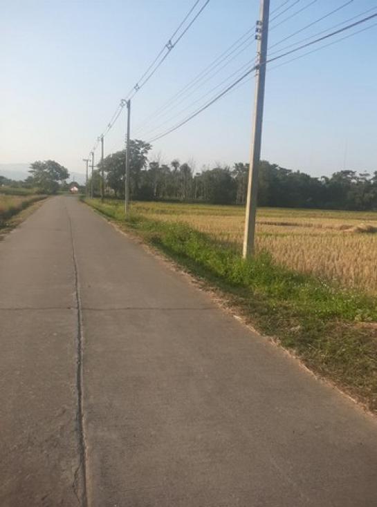 ��·��Թ ���ͧ��§�����§���