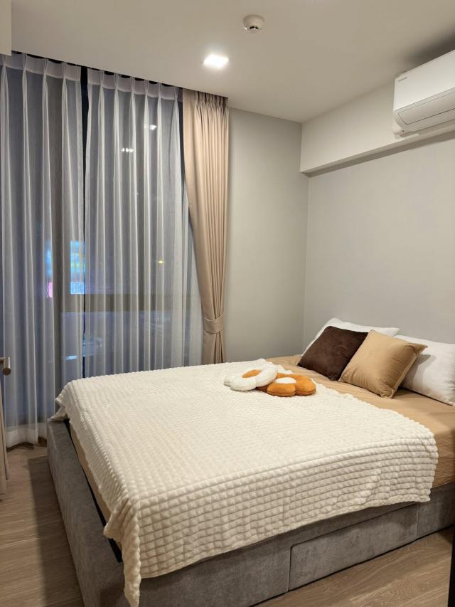 ��¤͹� �Թᴧ