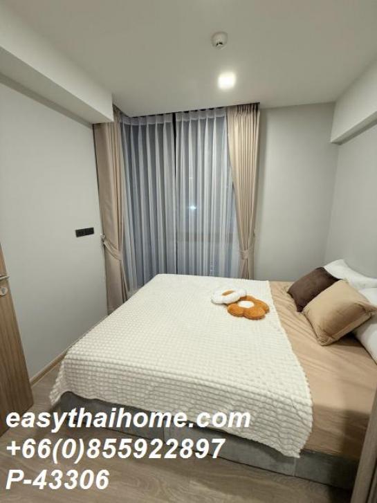 ��¤͹� �Թᴧ