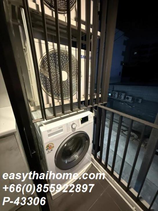 ��¤͹� �Թᴧ