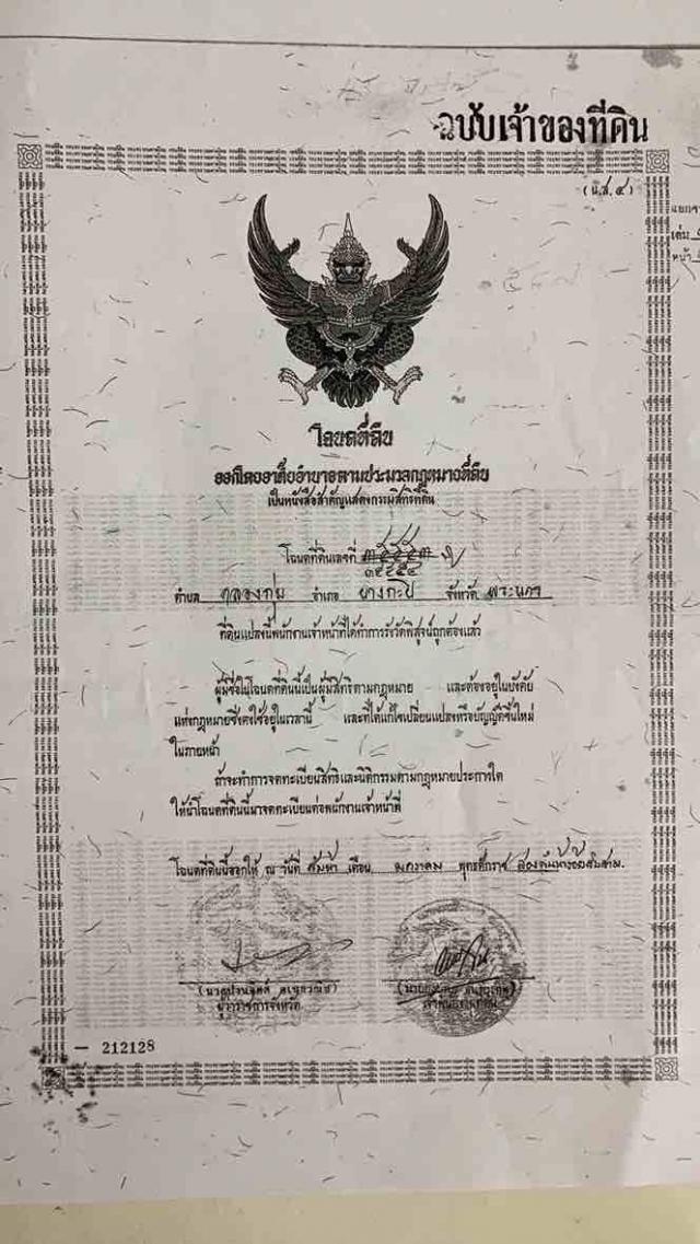 ���Թ �ҧ�л�