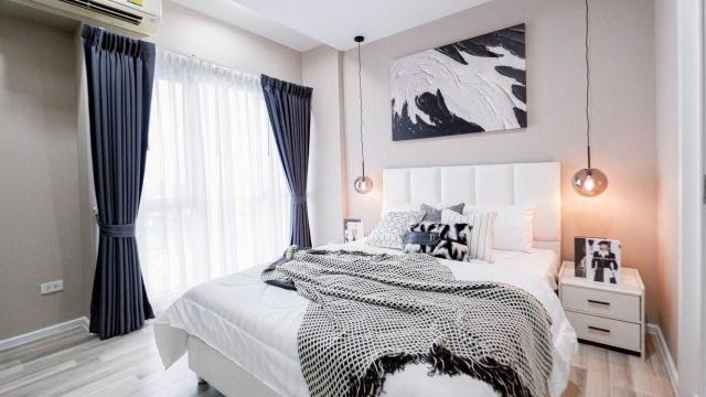 ��¤͹� �ҡ��紹������