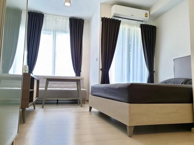 �͹������� �ѧ�ͧ��ҧ