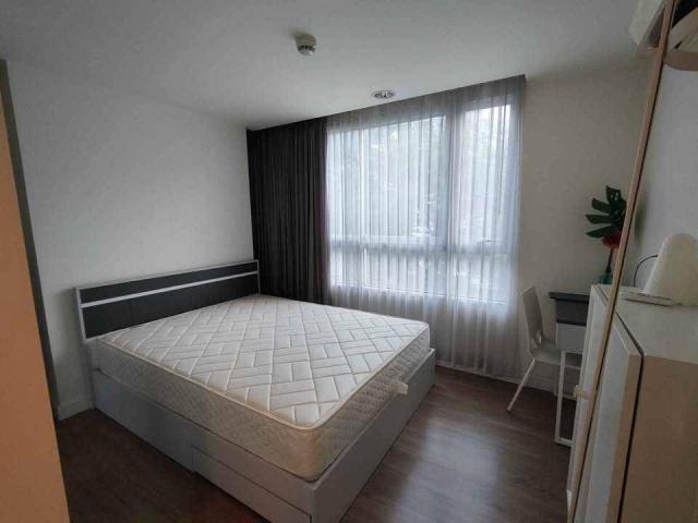 �͹������� �Թᴧ��ا෾