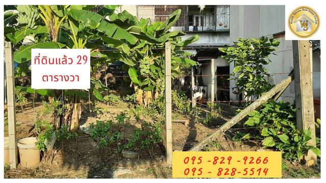 ��·��Թ �͹���ͧ��ا෾