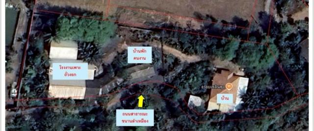 �ç�ҹ 3 ���