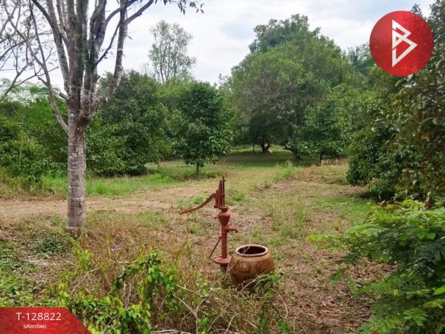 ���Թ �ѹ�����