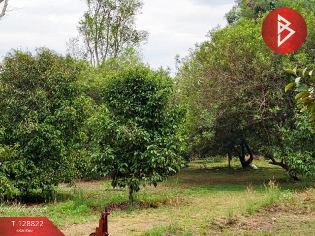 ��·��Թ �������ѹ�����