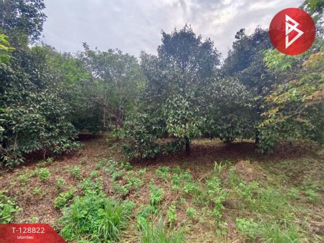 ��·��Թ �������ѹ�����