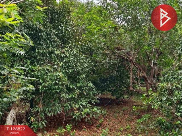 ��·��Թ �������ѹ�����