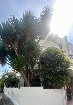 �����ҷ�ǹ������� �Ҥһ�С�������� 32,000 �ҷ/��͹