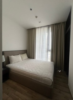 �͹�����ͧ�ѡ��� ��بѡ�