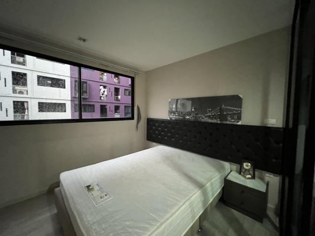 �͹� ������§