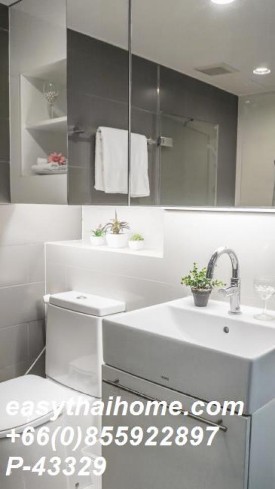 �͹������� ��ͧ�¡�ا෾