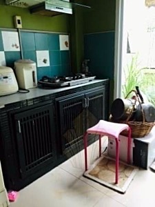 ��º�ҹ �ҧ�С� ���ԧ���