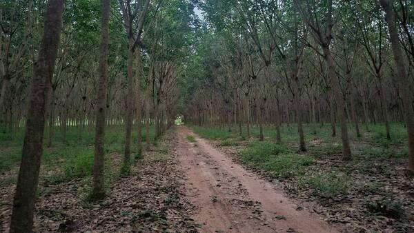 ���Թ ���ͺ�