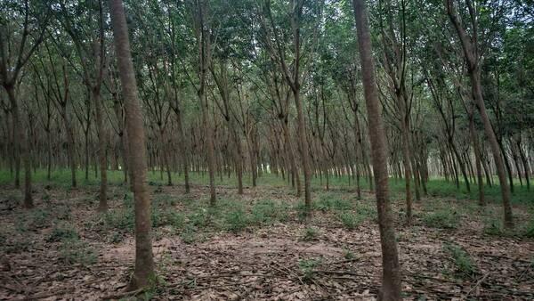 ��·��Թ �ŧ���ͧ