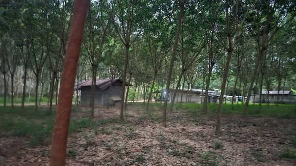 ��·��Թ �ŧ���ͧ