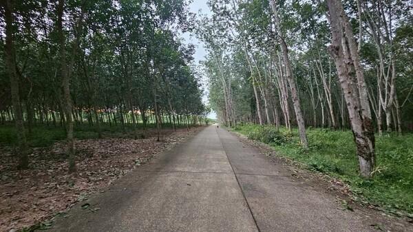 ��·��Թ �ŧ���ͧ