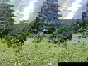 ���Թ �� ��� 552 ���ҧ��