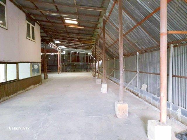 ⡴ѧ������ ˹ͧ����ا෾