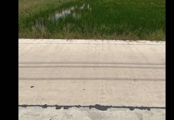 ���Թ �� ��� 552 ���ҧ��